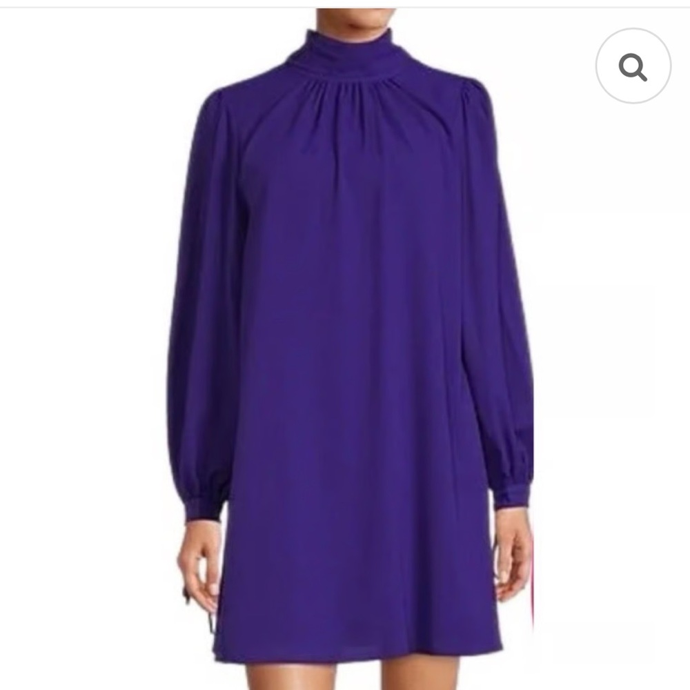 Elegant Purple Women's Dress Belle Badgley Mischka